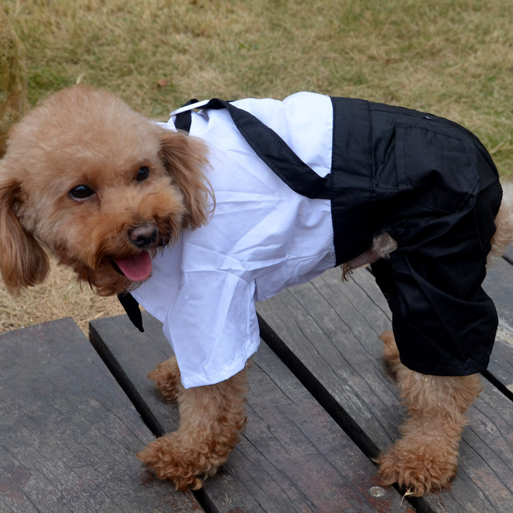Suit bright collar male pet cat Teddy puppy dog clothing wedding photo fake two shirt suit-tuxedo