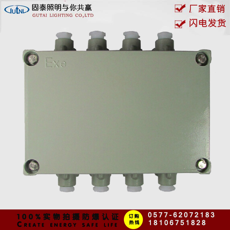 300*220防爆接线箱 防爆控制箱 阻燃型防爆箱定做
