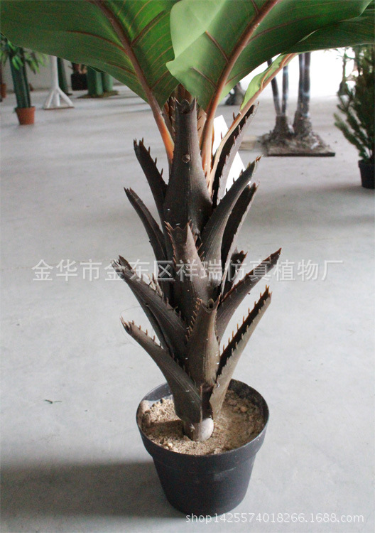 XRS-093单杆美人蕉叶树秋色树杆1