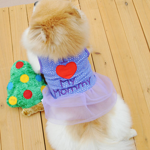Pet Fashion
