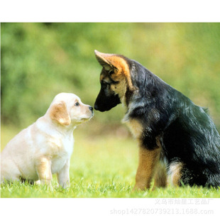 狗画图片_狗画图片大全 - 阿里巴巴海量精选高