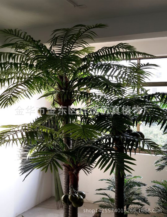 XRS-088组合棒棒椰子叶树60叶350厘米叶子1