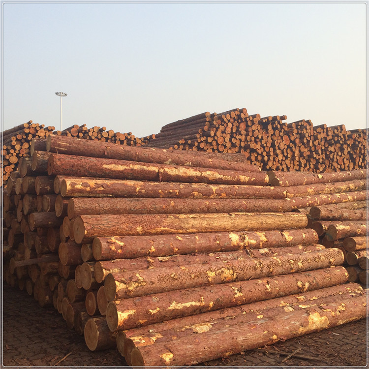 8acb50200f30cf248b59c67694eca9