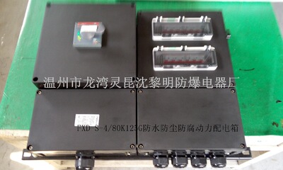防水粉尘防腐照明动力配电箱FXM(D)