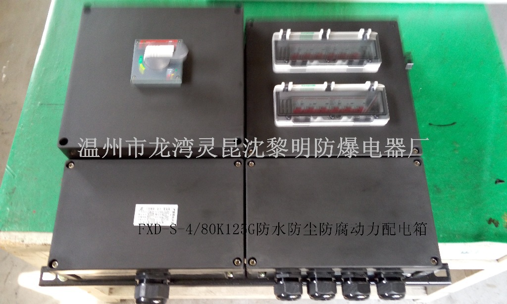 防水粉尘防腐照明动力配电箱FXM(D)