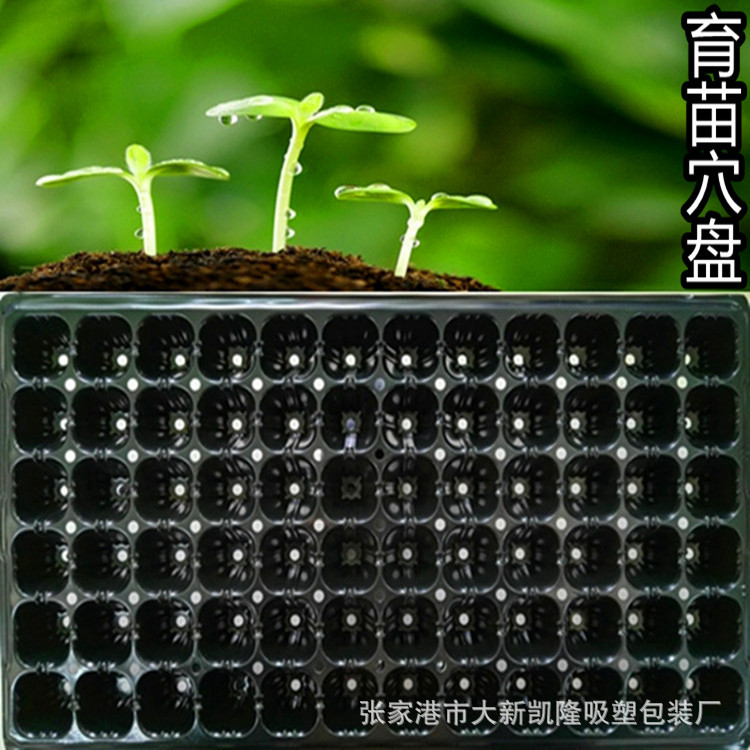 72穴育苗穴盘主图