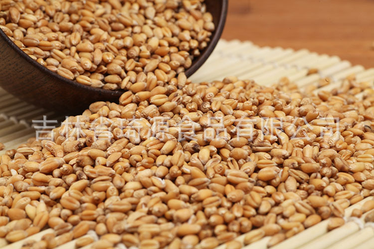 Roasted Wheat Kernels Low Temperature Baked Peeled Wheat for Fresh Soy Milk Northeast China specifications