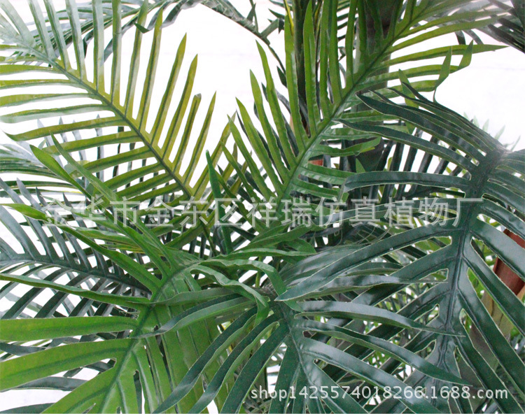 XRS-089组合5杆小葵叶树180厘米81叶子