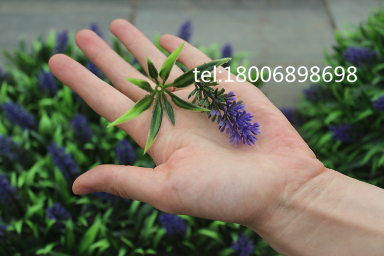 IMG_4886_副本_副本_副本