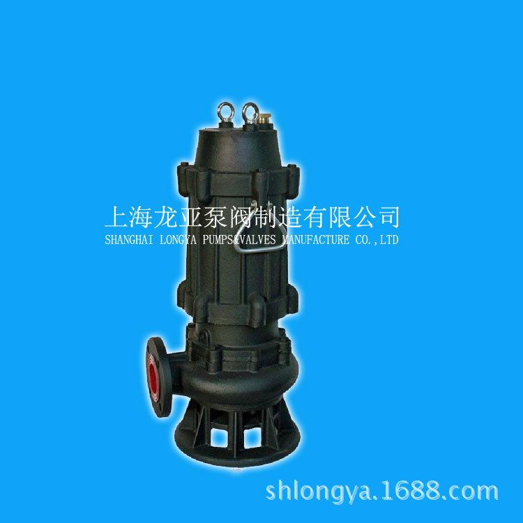 供应300WQK1000-25-110变频化粪池泵 基坑排水泵 活性污泥泵