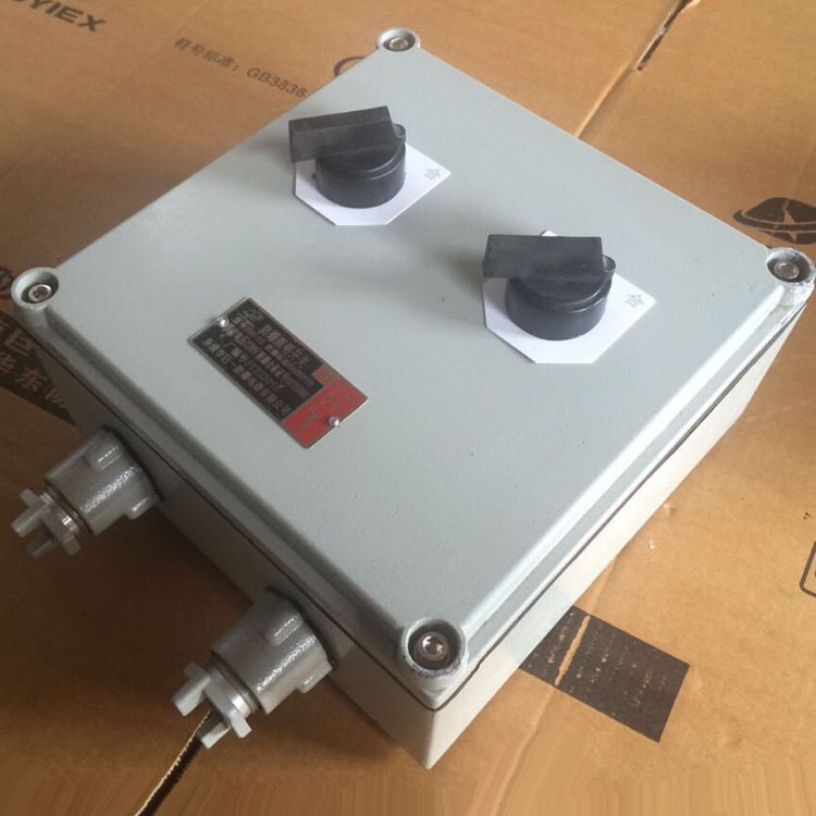 BZM-10系列防爆双联照明开关IIB SW-10防爆双开 防爆双联开关