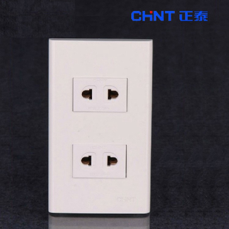 正泰开关插座 120型 二联二极插座 10A250V 22插 二二插 120*70