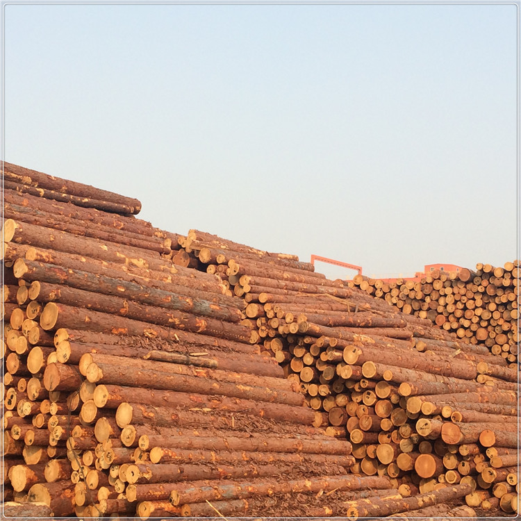 5e46d7655eb43d4eb5db0c87d806b0