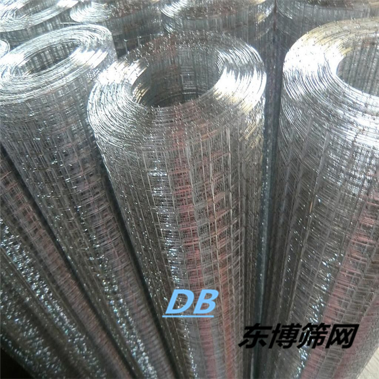 广东优质：304.201电焊网.镀锌网，冷镀网，铁网，不锈钢丝网