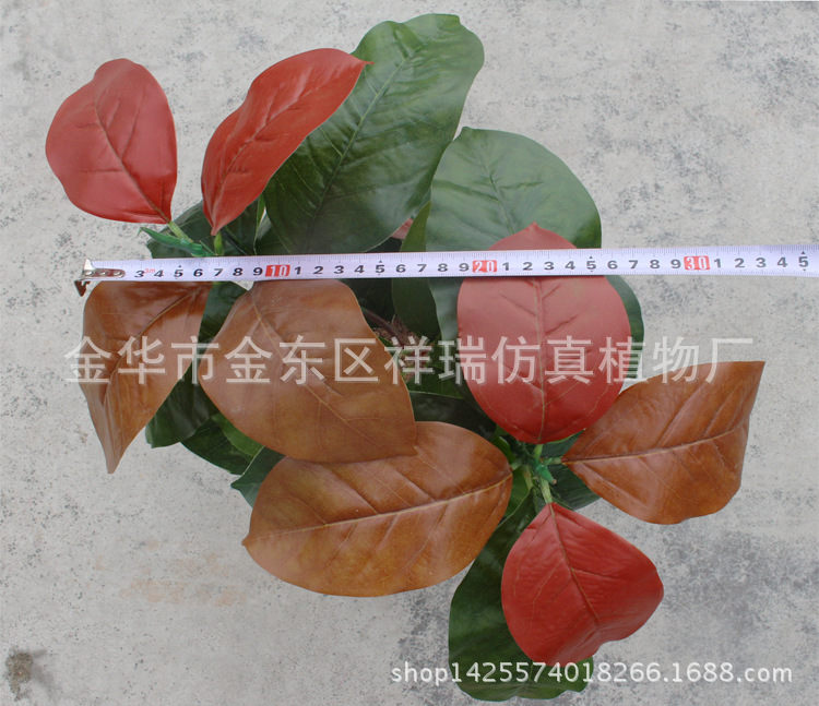 XRB-102秋高榕叶五叉支40叶60厘米宽