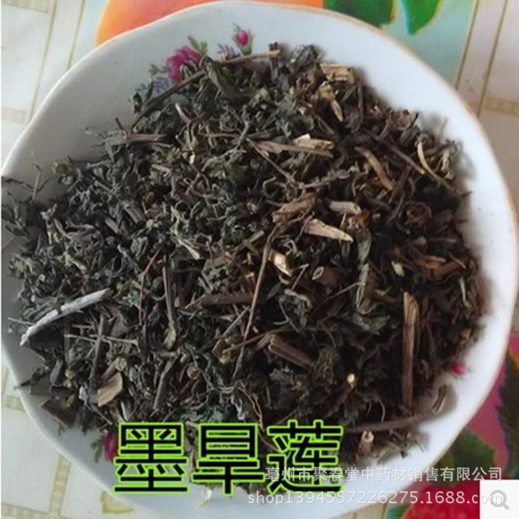 Chinese herbal medicines Eclipta Dry lotus powder Eclipta collocation Side lobe Mulberry Morus alba