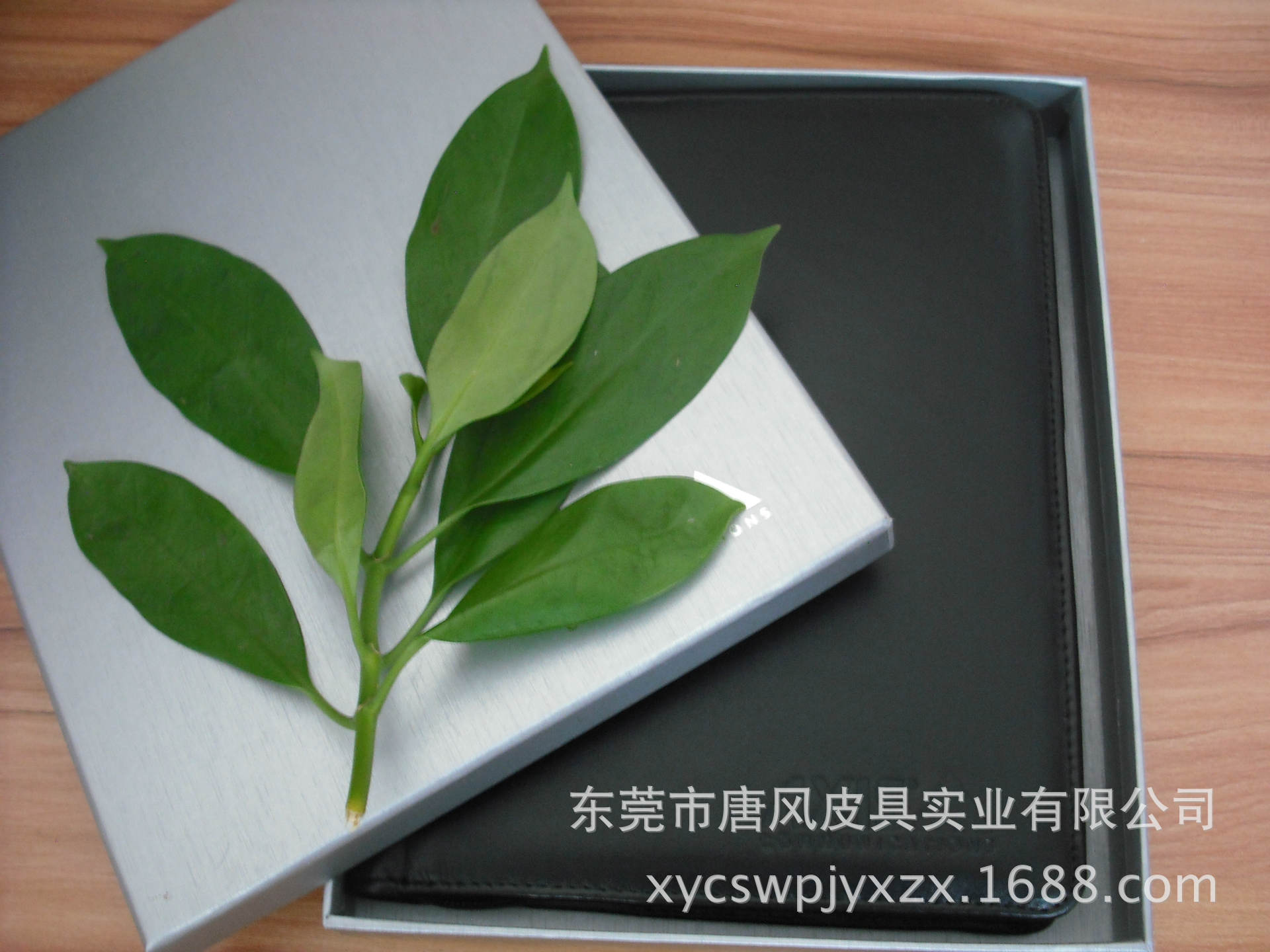 DSCF0368