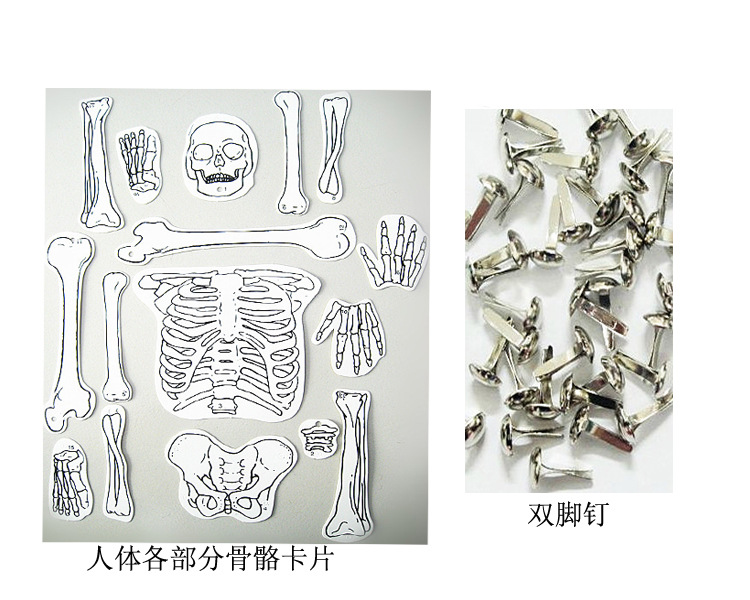 TB2yDqidXXXXXcnXXXXXXXXXXXX-22