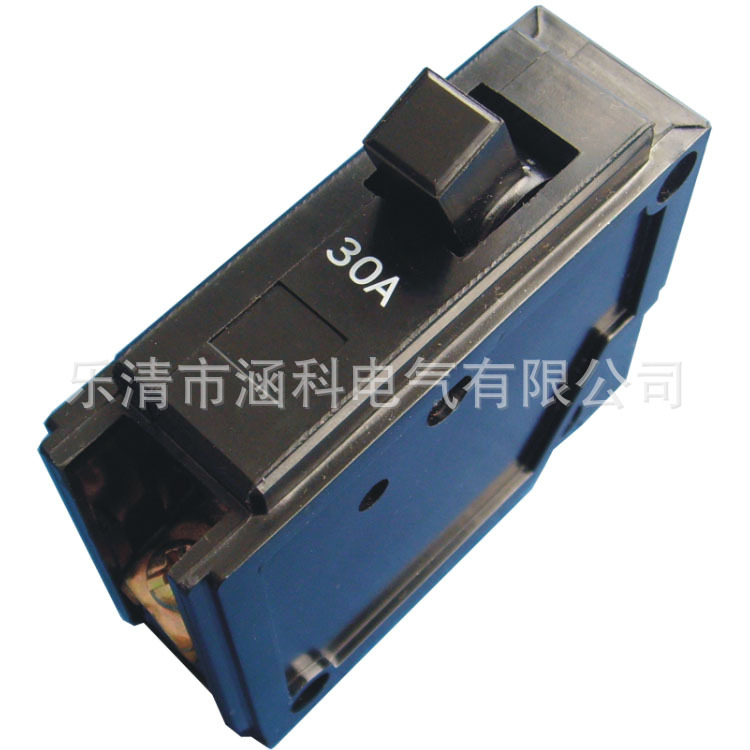 厂家货源 小型断路器低压电器 BH-P 1P 6A-100A 插入式 空气开关