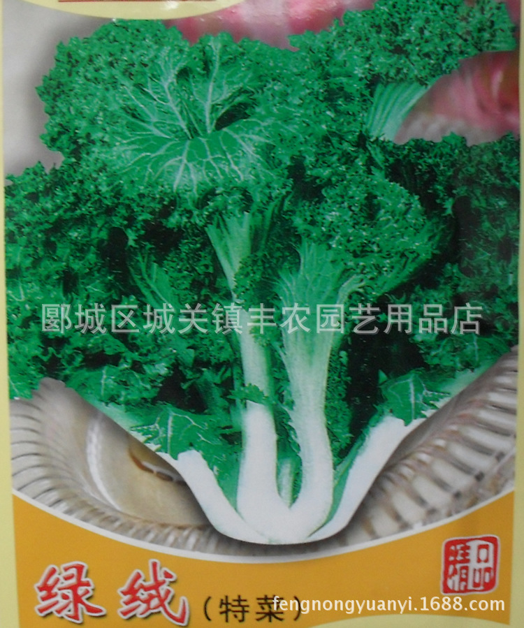 绿绒种子 春不老 蔬菜种子批发 10g原装|ms