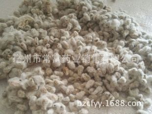 ���l���� �޻��N�� ����ʳ���޻�������ë��������r��