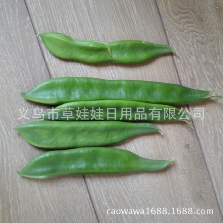 9999235c64dea50fbc04e2bdbceb2a