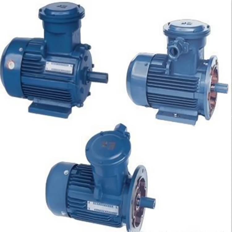 实力厂家YB3-315L2-2-200KW率防爆电动机隔爆电机