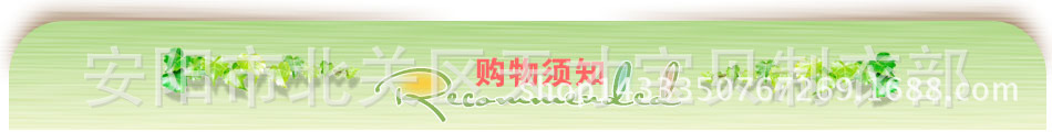 詳情導航