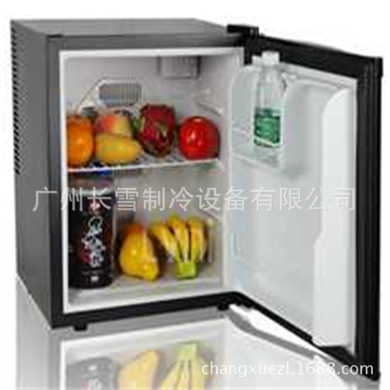 广东长雪牌30L电子半导体小冰箱    小冰柜