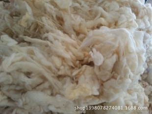 60��ë��ë��̼��ë�����ë��Ư��ɫ����ë������