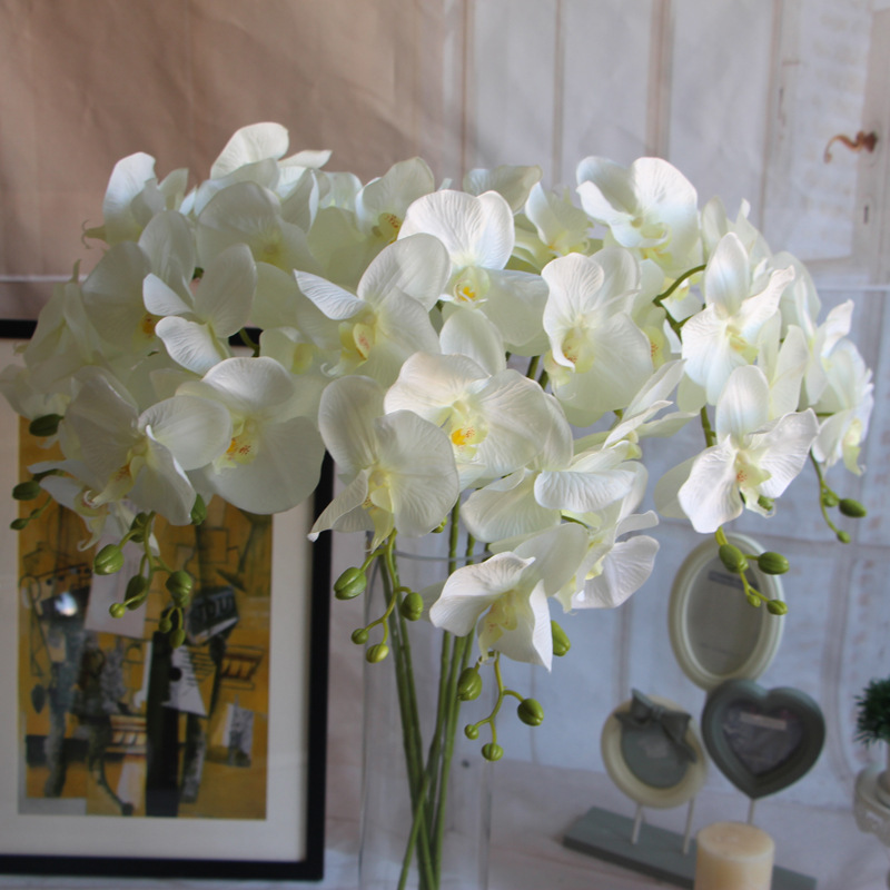 2402792652_798695559