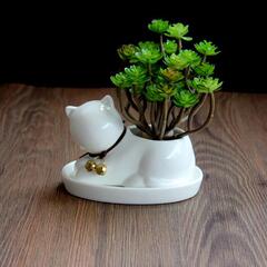 Creative Personality Ceramic Animal Small Flower Pot Super Cute Pure White Succulent Plant Pot Cartoon Cat Shape