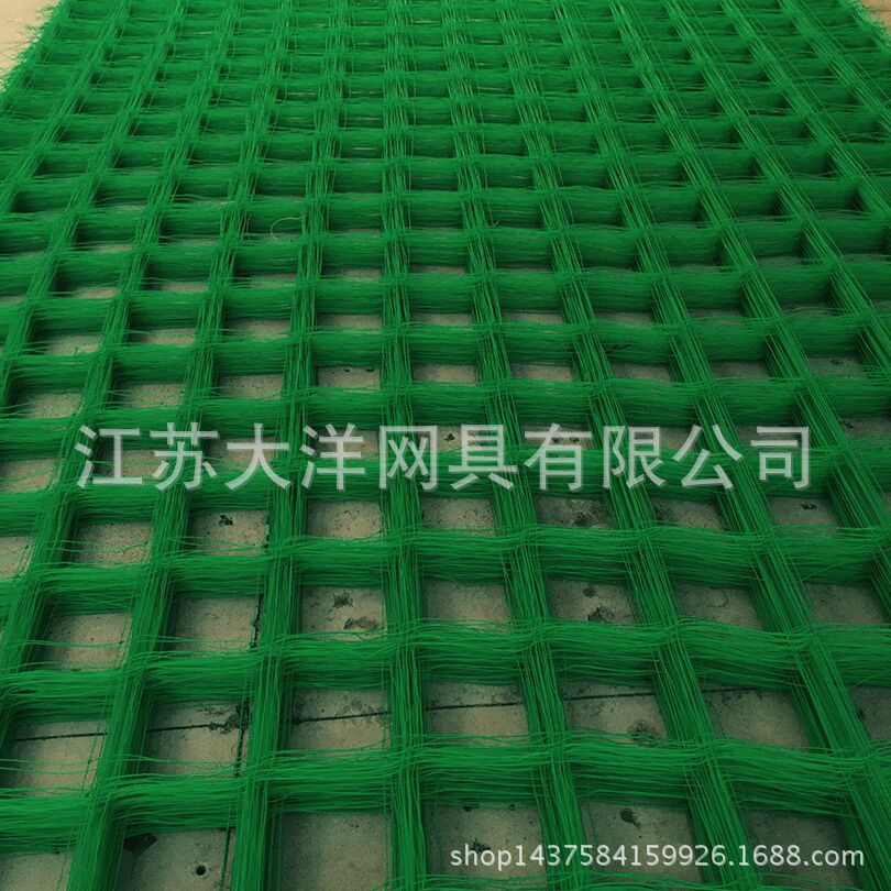 厂家供应大洋牌网具 园艺网 农业用网 黄瓜网 养殖网