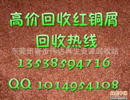 其他废金属;废铜;锂电池