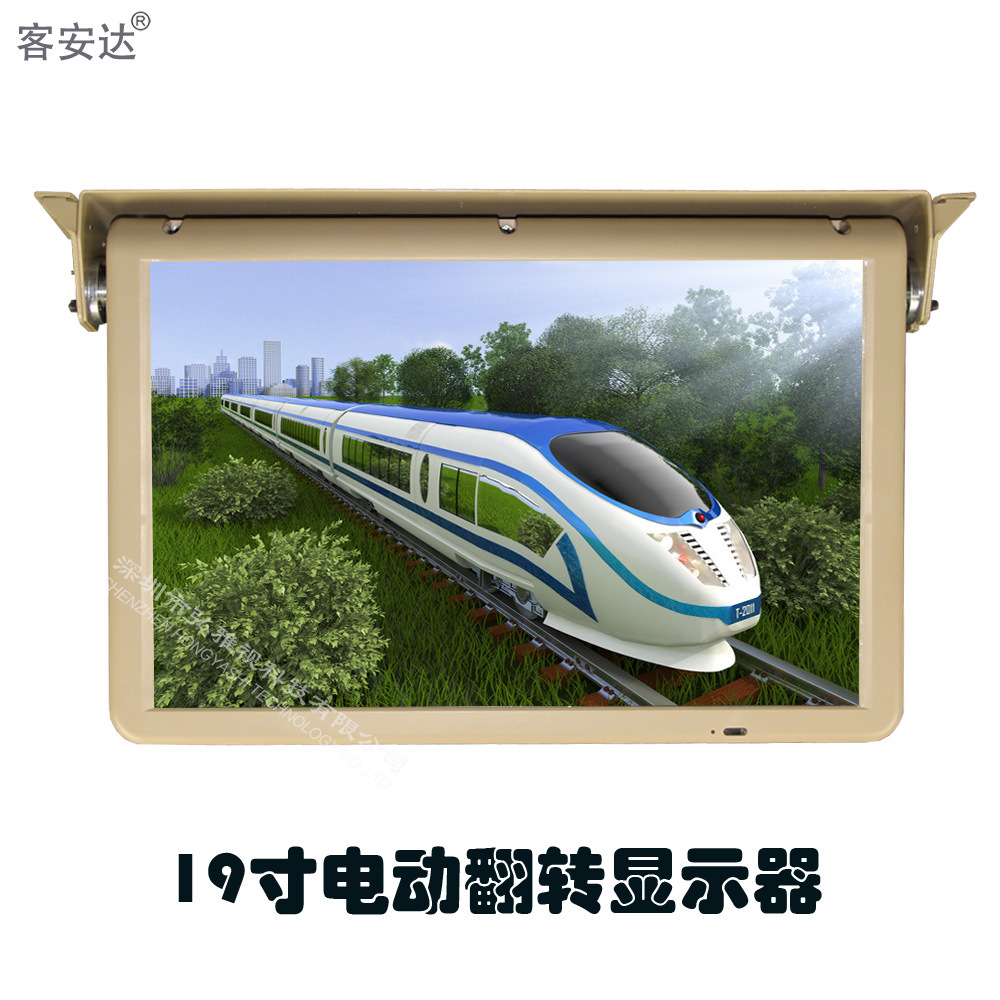 主1