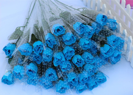 72358b9739943538f38e5d9363d96c