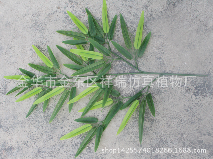 XRB-111富贵竹叶3叉枝52叶62厘米2