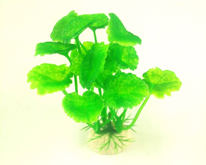 QQ图片20150722131203