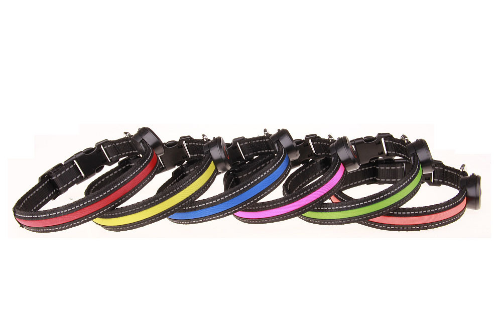 LED Dog Collar