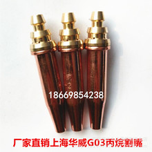 �Ϻ��A��G03���� �ȉ�ʽ���� ���θ���� ֱ������� ����Һ����