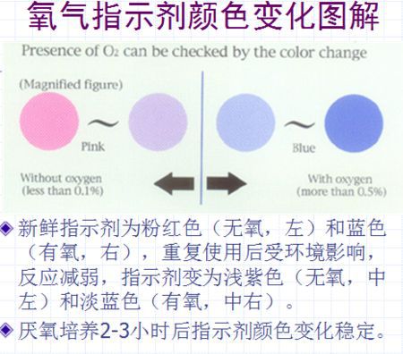 氧氣指示劑顏色變化