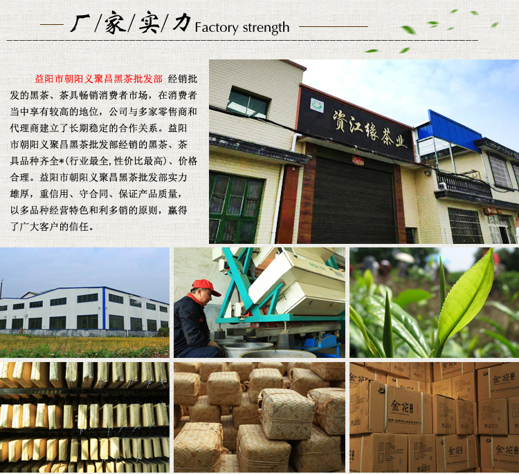 茯砖茶_13