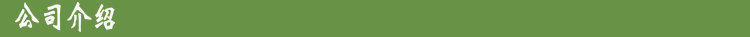 公司介绍