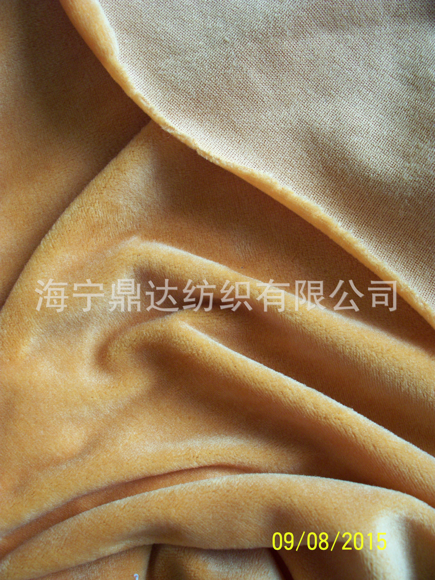 弹力超柔氨纶超柔仿天鹅绒平绒纬编超柔服装面料家纺面料服装里料