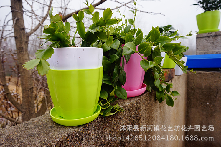 TB2WE6TcXXXXXaGXXXXXXXXXXXX-17