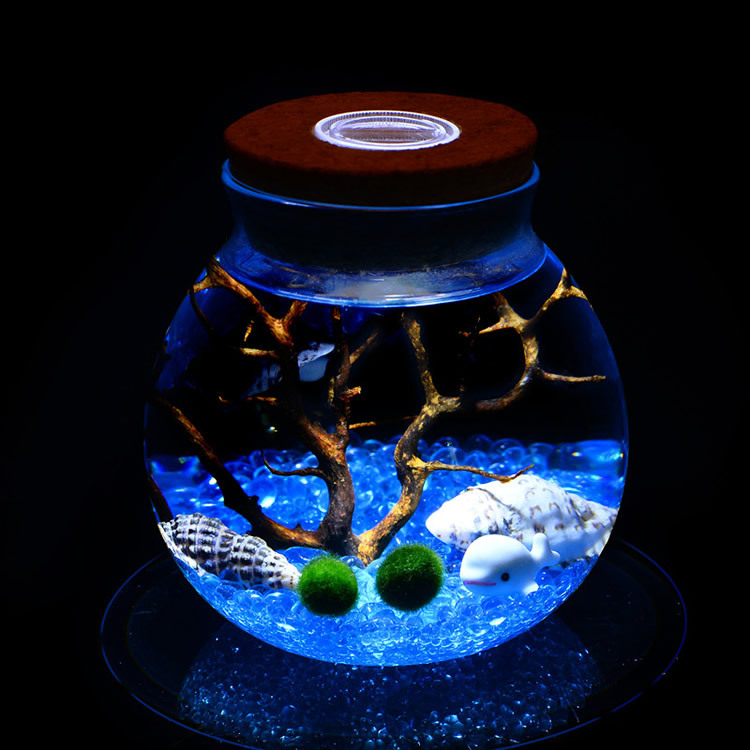 批发海藻球生态瓶带灯 微景观生态瓶 软木塞带灯圆形玻璃密封罐