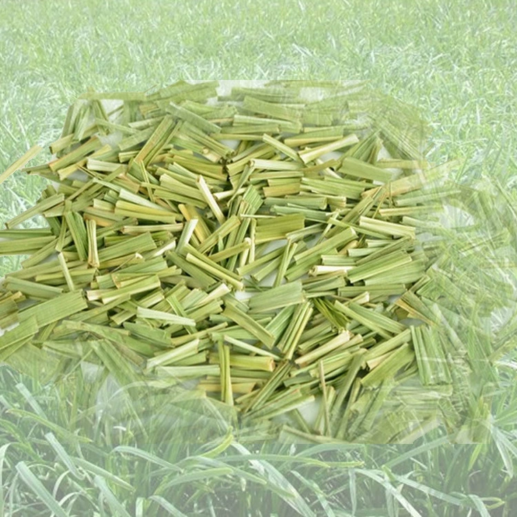 Производитель оптовая поставка свежей лимонной травы цитронеллы