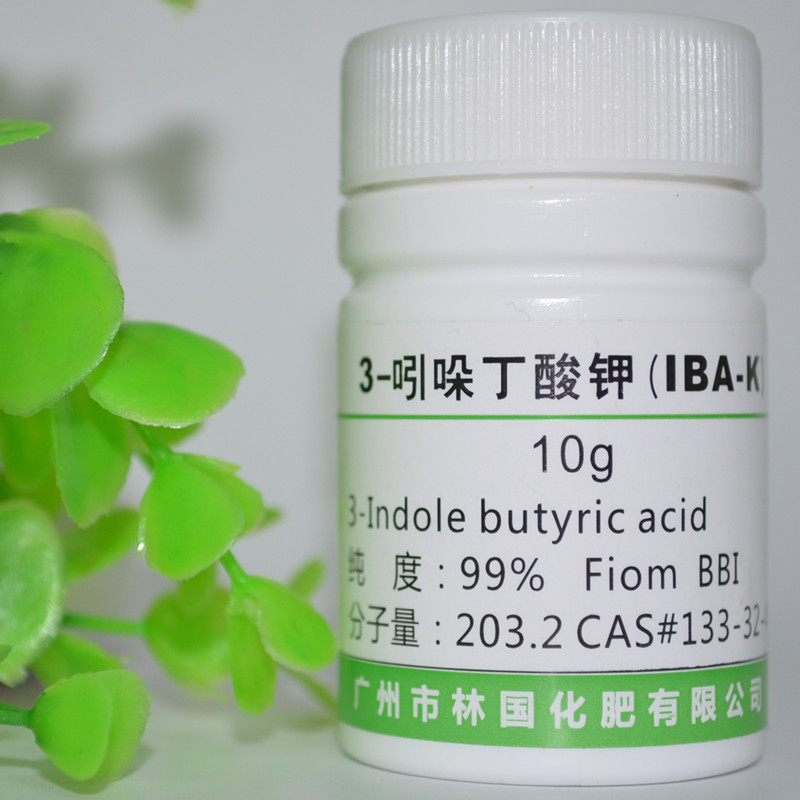 吲哚丁酸钾生根粉IBA-K吲哚丁酸钾盐批发 生根粉生根剂10克装