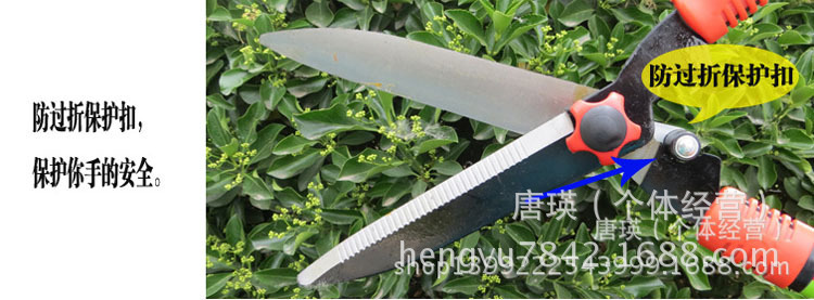 1726485261_1269862085