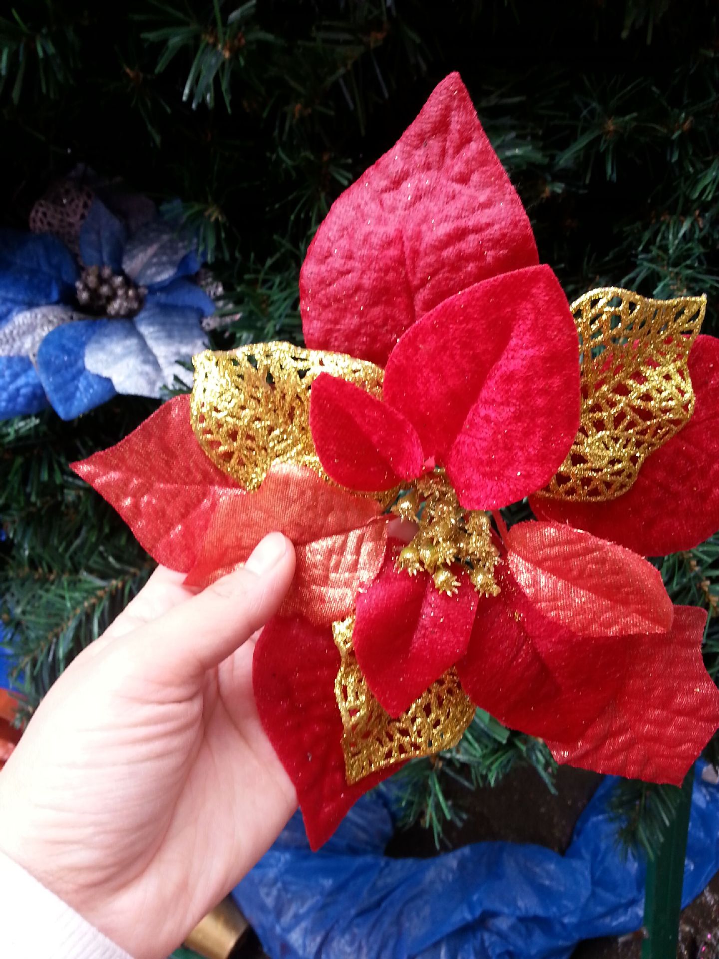 QQ图片20151209115315